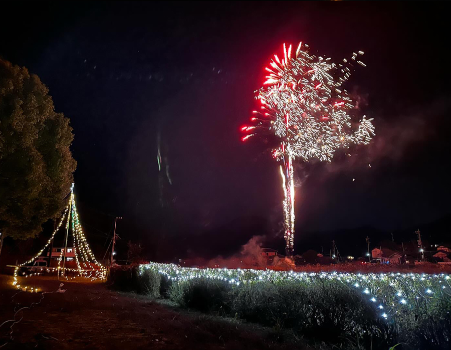 ぴかっと倉真イルミネーション