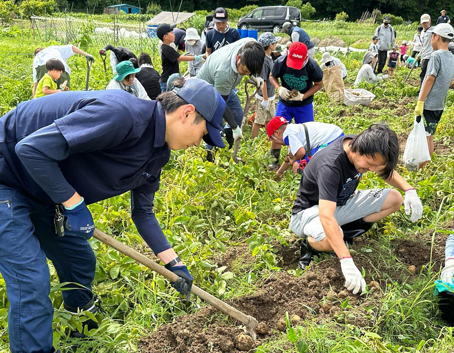 ぴかっとジャガイモ収穫祭