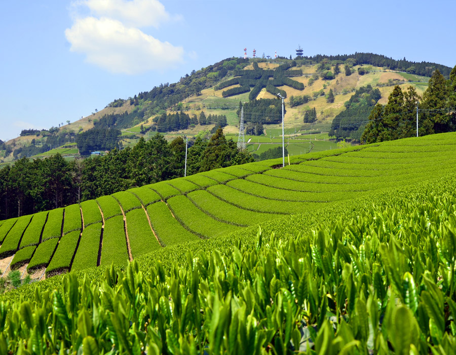 粟ケ岳（かっぽしテラス）