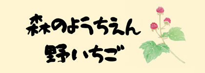 森のようちえん野いちご
